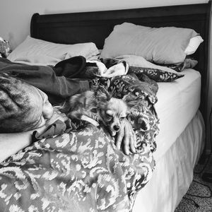 Meet your Posher, Melanie